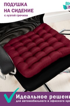 Подушка для мебели Bio-Line с гречневой лузгой PSG25